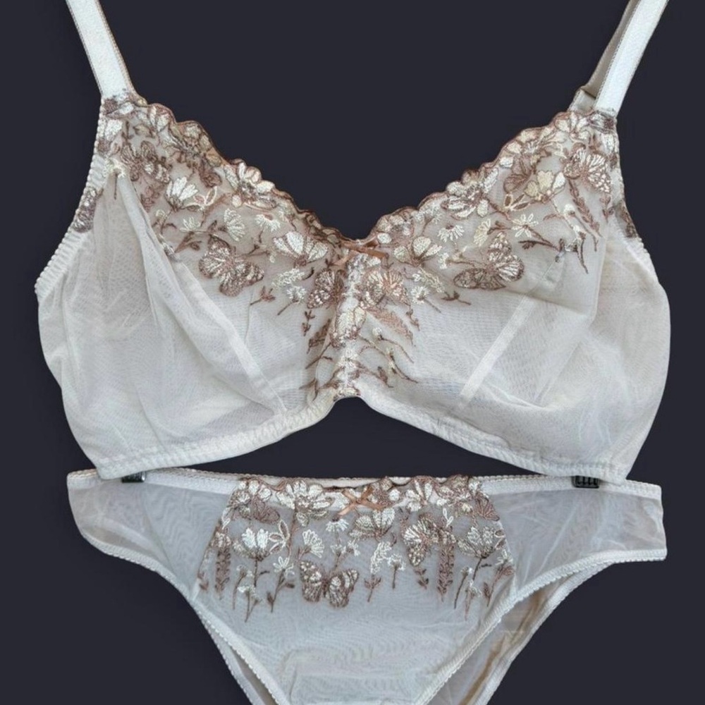 Embroidery Mesh Bralette & Matching Embroidery Mesh Cheeky Panty